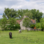Haren aan de oude Castrum boerderij… met op de achtergrond de installaties van het rangeerstation van de NMBS © Private collectie (GC De Linde)