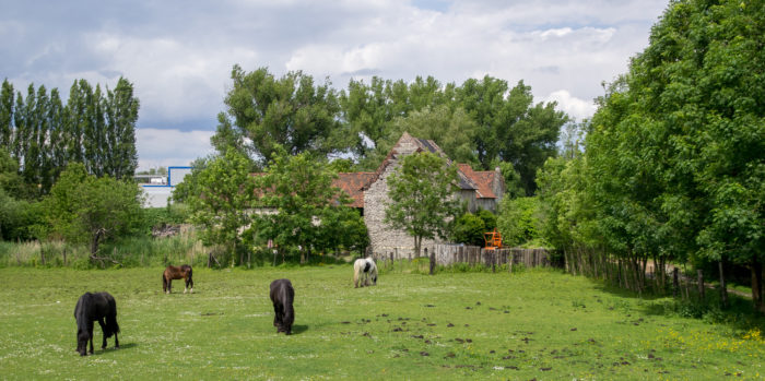 Haren depuis la ferme du Castrum… avec à l’arrière-plan les installations de la SNCB © Collection privée (GC De Linde)